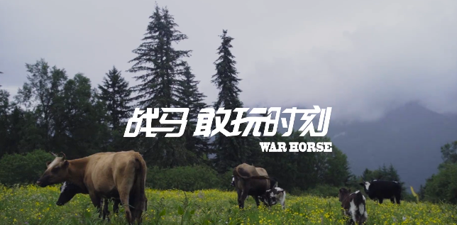 战马带你体验这些敢玩时刻，带你感受多样化的生活体验